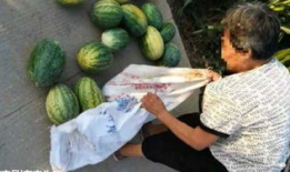 黎平吃瓜最新事件爆料,最新爆料揭秘幕后真相