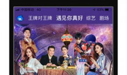 蓝莓视频下载,轻松获取海量精彩内容